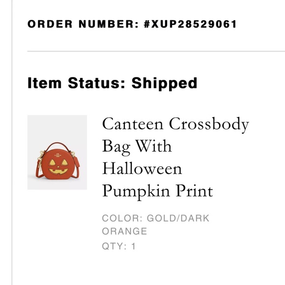 Canteen Crossbody Bag With Halloween Pumpkin Print - Picture 8 of 9